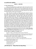 SKKN Một số biện pháp nâng cao chất lượng mũi nhọn