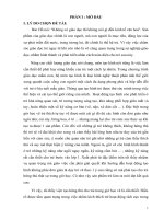 SKKN một số biện pháp nâng cao chất lượng môn tạo hình cho trẻ mẫu giáo ghép.