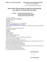 Bao cao giao dich co phieu cua nguoi noi bo Ba Le Thi Hong Nhung   Truong Ban IR