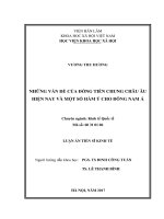 Những vấn đề của đồng tiền chung châu Âu hiện nay và một số hàm ý cho Đông Nam Á (LA tiến sĩ)