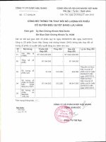 CBTT thay doi so luong CP co quyen bieu quyet dang luu hanh