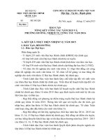 Dự thảo báo cáo tổng kết năm 2015