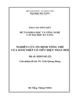 Nghiên cứu ổn định tổng thể của dầm thép có tiết diện thay đổi (tt)