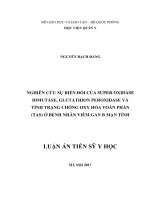 Nghiên cứu sự biến đổi của Super Oxidase Dimutase, Glutathion Peroxidase và tình trạng chống oxy hóa toàn phần (TAS) ở bệnh nhân viêm gan B mạn tính (FULL TEXT)