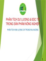 PHÂN TÍCH hàm LƯỢNG CHÌ TRONG RAU MUỐNG 