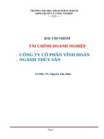 phân tích báo cáo tài chính công ty cổ phần vĩnh hoàn (ngành thủy sản) 