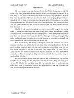 Tổ chức công tác kế toán bán hàng và xác định kết quả kinh doanh tại công ty cổ phần xăng dầu dầu khí hà nội  