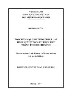 Tội chứa mại dâm theo quy định của bộ luật hình sự việt nam từ thực tiễn thành phố hồ chí minh (tt)