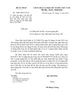 Công văn về việc tham gia góp ý dự thảo Đề án xây dựng tổ chức bộ máy, biên chế triển khai thực hiện quản lý công tác thi hành pháp luật về xử lý vi phạm hành chính CV gui STP 12062013