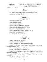 Tài liệu phục vụ cuộc họp Tư vấn thẩm định đề nghị xây dựng Luật Dân số De cuong LDS