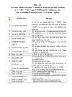 2.1. Phu luc Mau thong ke STP