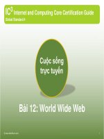 tai lieu on thi ic3 gs4 bai 12 world wide web