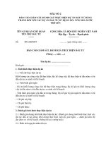 Công văn về việc thực hiện Thông tư số 13 2010 TT-BKH ngày 02 6 2010 của Bộ Kế hoạch và Đầu tư Bieu mau CV 187