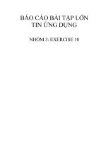 báo cáo bài tập lớn tin ứng dụng