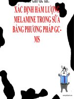 Báo cáo đề tài xác ĐỊNH hàm LƯỢNG MELAMINE TRONG sữa BẰNG PHƯƠNG PHÁP GC MS 