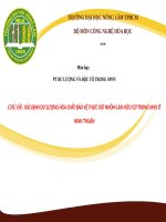 XÁC ĐỊNH dư LƯỢNG hóa CHẤT bảo vệ THỰC vật NHÓM lân hữu cơ TRONG NHO ở NINH THUẬN 