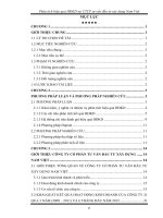 phân tích hiệu quả hoạt động kinh doanh tại công ty cổ phần tư vấn đầu tư xây dựng nam việt 