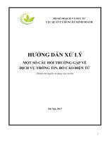 Cau hoi thuong gap ve dich vu thong tin  bo cao dien tu   ho tro