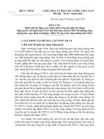 Du thao BC danh gia tac dong chinh sach