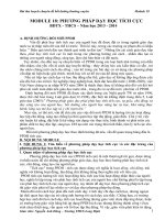 bài thu hoạch bồi dưỡng thường xuyên thcs module 18 