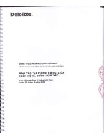 bao cao tai chinh rieng 6 thang dau nam 2017 3291