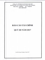 Báo cáo tài chính Công ty mẹ quý 3 năm 2017