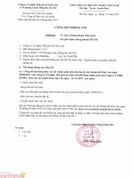 Bao cao tai chinh ban nien 30092017