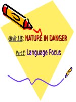 Unit 10. Nature in danger