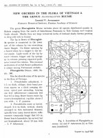 DSpace at VNU: New Orchids in the Flora of Vietnam 2. The Genus Plocoglottis Blume