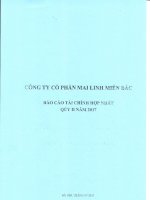 bao cao tai chinh hop nhat q2 2017 3286