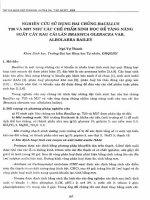 DSpace at VNU: Nghiên cứu sử dụng hai chủng Bacillus T20 và M27 như các chế phẩm sinh học để tăng năng suất cây rau cải làn Brassica Oleracea var. Albolabra Bailey