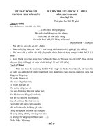 de kiem tra giua hk2 mon ngu van lop 11 truong thpt dau giay dong nai nam 2014 2015