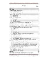 hoàn thiện thủ tục phân tích trong kiểm toán báo cáo tài chính tại công ty sao việt 