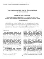 DSpace at VNU: Investigation on basic blue 41 dye degradation by fenton reaction