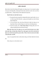 tiểu luận chương 1 đầu tư quốc tế 