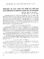 DSpace at VNU: Thêm một số loài thực vật hiếm của Việt Nam phát hiện được ở Sơn Lâm (Lương Sơn, Hà Sơn Bình)