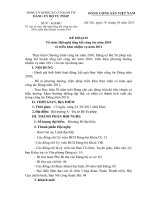 Kế hoạch tổ chức Hội nghị tổng kết công tác năm 2010 và triển khai nhiệm vụ năm 2011 Ke hoach Dang