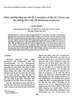 DSpace at VNU: Khảo sát khả năng tạo sắc tố, Lovastatin và độc tố Citrinin của hai chủng nấm mốc đỏ Monascus purpureus