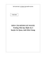 GQ BCDGN TH DinhAn3 GQ