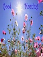 Unit 11. Traveling around Vietnam