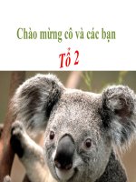 thuyết trình về tác giả Nguyễn Trãi