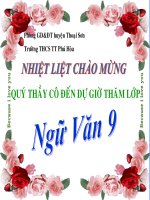 Tiết 42 43 CTĐP AN GIANG: NHÀ VĂN LÊ VĂN THẢO