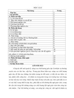 SKKN một số biện pháp chỉ đạo nhằm nâng cao chất lượng công tác chủ nhiệm lớp tại trường TH lý thường kiệt 