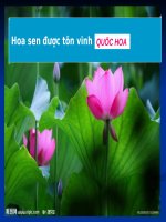 Tuần 29. Đọc thêm: Tiếng mẹ đẻ - nguồn giải phóng các dân tộc bị áp bức