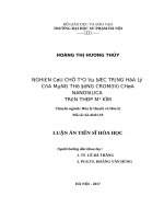 Nghiên cứu chế tạo và đặc trưng hóa lý của màng thụ động crom(III) chứa nanosilica trên thép mạ kẽm (LA tiến sĩ)
