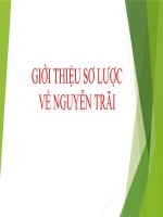 giới thiệu sơ lược về Nguyễn Trãi