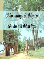 Tuần 9. Ca dao hài hước, châm biếm