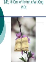 Tuần 25. Đặc điểm loại hình của Tiếng Việt