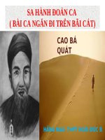 Tuần 4. Bài ca ngắn đi trên bãi cát (Sa hành đoản ca)
