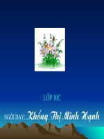 Tuần 23. Đọc thêm: Thái sư Trần Thủ Độ